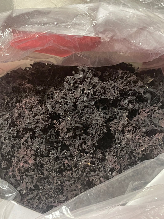 Purple Irish Sea Moss 2 oz